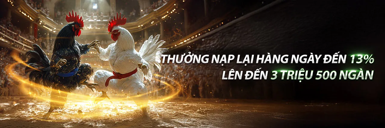 Hình ảnh Tài Xỉu tại gà chọi c1.com